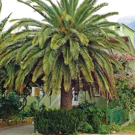 Apartment Lovely In With Wifi Makarska